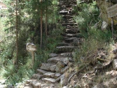 Entre el Puerto y Chorro de Navafría;senderismo por la pedriza madera tejo ruta de senderismo madri